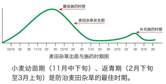 小麥田雜草最佳防治時(shí)期圖